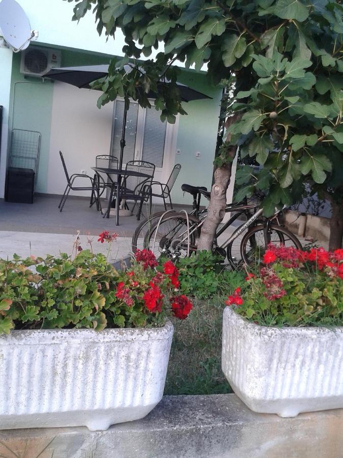 Sea View Appartement Zadar Buitenkant foto